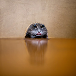 Similar image 21275394