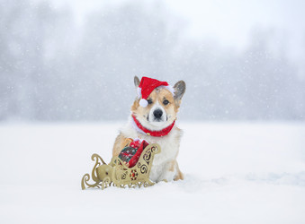 Similar image 21275395