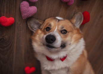 Similar image 21275403