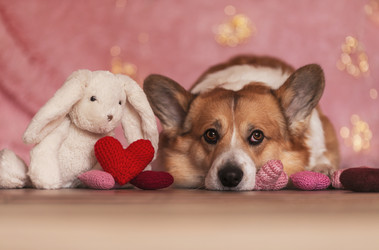 Similar image 21275407