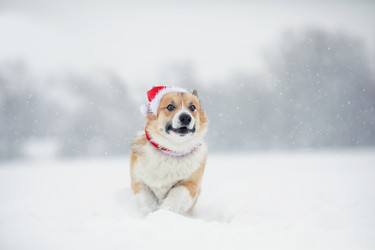 Similar image 21261092