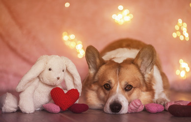 Similar image 21261094