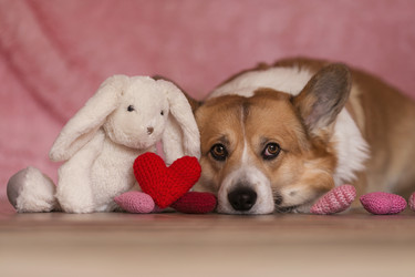 Similar image 21261096