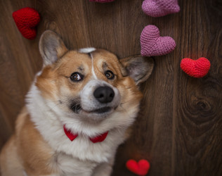 Similar image 21261098