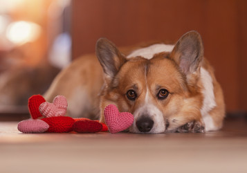 Similar image 21261100