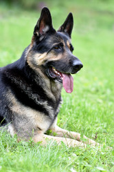 Similar image 21279328