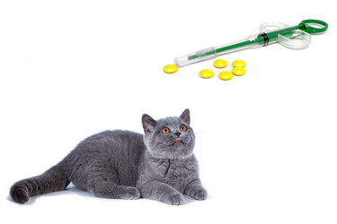 Similar image 21291846