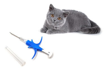 Similar image 21291847