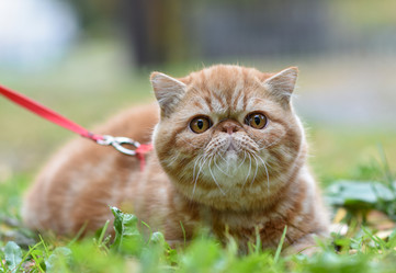 Similar image 21291851