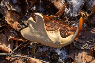 Similar image 21291853