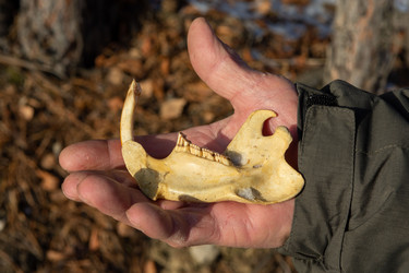 Similar image 21291860