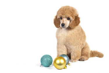 Similar image 21291862