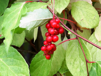 Similar image 21291863