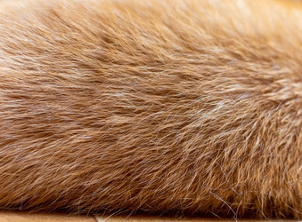 Similar image 21291868