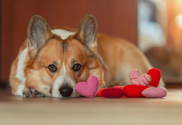 Similar image 21261110