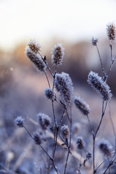 Similar image 21261112