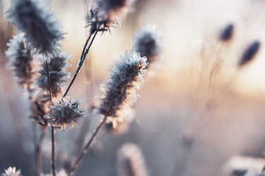 Similar image 21261114