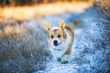 Similar image 21261115