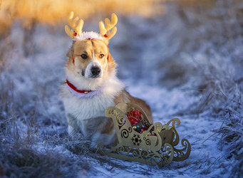 Similar image 21261117