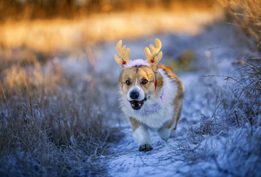 Similar image 21261119