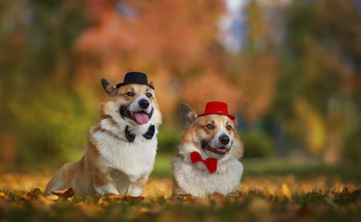 Similar image 21261120