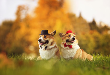 Similar image 21261122