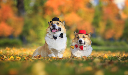 Similar image 21261124