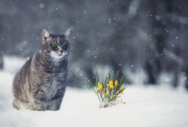 Similar image 21261125