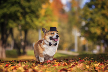 Similar image 21262531