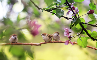 Similar image 21262532