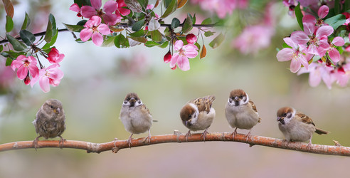 Similar image 21262533