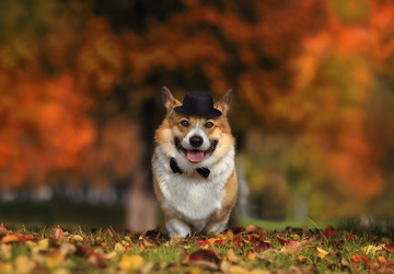 Similar image 21262535