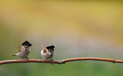 Similar image 21262536