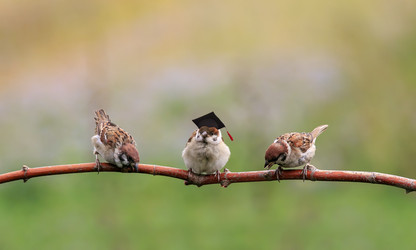 Similar image 21262538