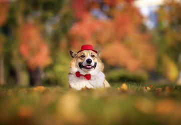 Similar image 21262539