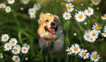 Similar image 21262541