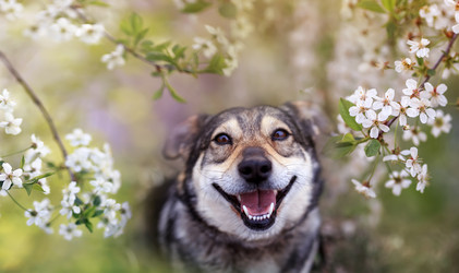 Similar image 21262545