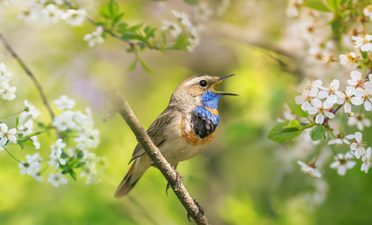 Similar image 21275413