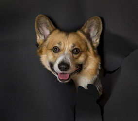 Similar image 21275414