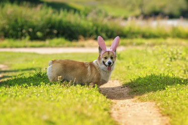 Similar image 21275415