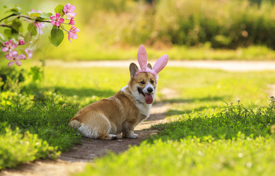 Similar image 21275419