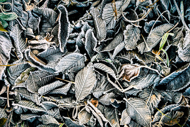 Similar image 21279486