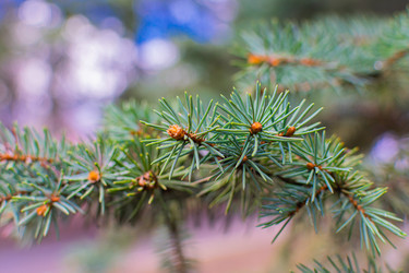 Similar image 21279554