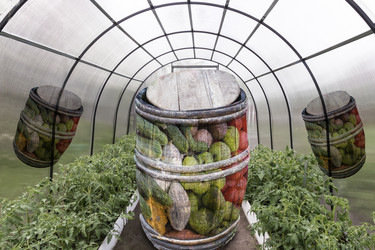 Similar image 21274756