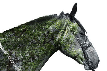 Similar image 21274761