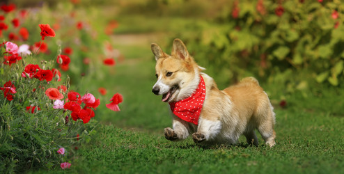 Similar image 21277757