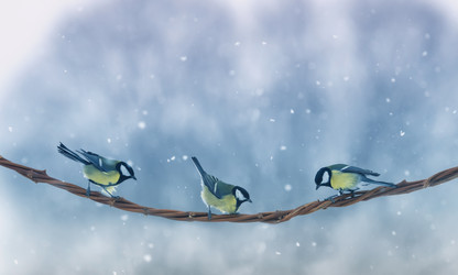 Similar image 21277758