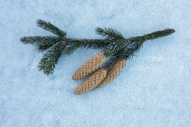 Similar image 21277761