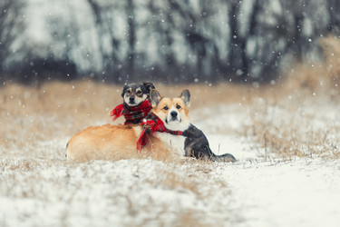 Similar image 21277762