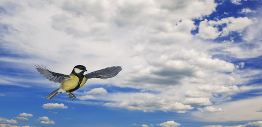 Similar image 21277764